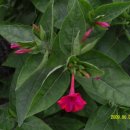 관문시장 이미지