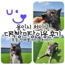 정문 | 용인시 처인구 다락방 마당 이용 후기 / 멍래블 강아지 운동장 대관