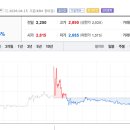 한국돼지유전자(K.P.G) 이미지