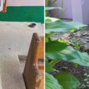 신촌식당 이미지