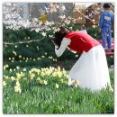 노란거북이 이미지