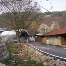 고성리-5 이미지