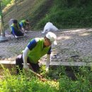 현충탑진입로 이미지