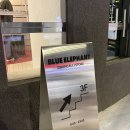 광안당안경 | 부산 광안리 놀거리 :: 블루엘리펀트 안경 / 선글라스 쇼룸 방문 후기 (주차정보)