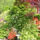 안성맞춤한우촌 이미지