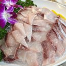 성수횟집 | 성수 방어맛집 싱싱횟집 연예인맛집 웨이팅 솔직 후기