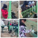 참살이힐링 펜션 이미지