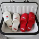 테리하우스 이미지