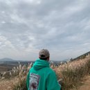 보헤미안 애월 이미지