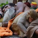 휴먼터치 이미지