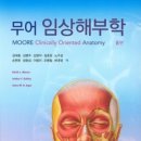 국대교정 이미지