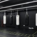 팀 해명 짐 이미지