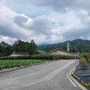 치악산둘레길 11코스 한가터길 이미지