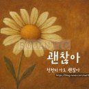 갤러리데이지
