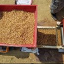 복동농장 이미지