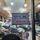 둥지몰 이미지