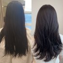 부산 신평 미용실 추천 | 내돈내산 레이어드컷 허쉬컷 하고 온 후기!_[하올헤어]