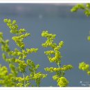 마음의 양식 이미지