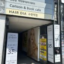 최헤어아트
