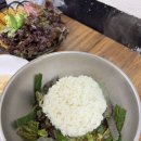 동네참숯식당 | 미성참숯정육식당 후기｜신정역 고기 맛집, 양념갈비·육회비빔밥·물냉면