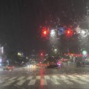 신호등노래연습장 이미지