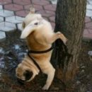 노상 - 진주시 | 노상