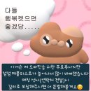 신흥 인 허브 | 밀린 8월 일상 - 청모로 얼룩진