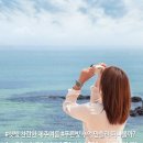 여름. 제주 이미지