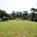 조정만묘 이미지