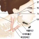 성가한의원 이미지