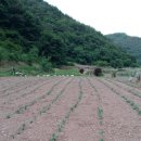 운호농장 이미지