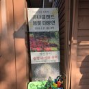 씨유 아산음봉로드점 | [아산 가볼만한곳] 튤립 축제 한창인 '피나클랜드' 입장료, 먹거리, 주말 나들이 후기