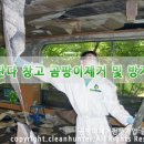 곰팡이헌터 이미지