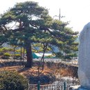 절부마을 이미지