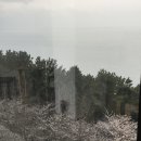 (주)비아인키노 이미지