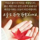 오늘의 날씨 (11월 8일 금요일) 입영 12일차 이미지