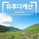 (유)하늘여행 | [유후인 여행] 아시아의 알프스 유후다케산(由布岳) 등산로, 버스로 다녀온 후기 (가능방법 총정리)