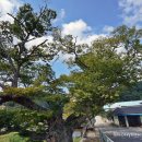 박사골한우 이미지