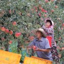 삼애농원 이미지