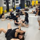 2024 기초체력 & 호신술 | 구리 다산 주짓수 팀크로우MMA 실전 호신술부터 다이어트까지 일석이조 스포츠!