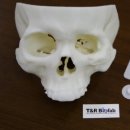 트리바이오 이미지