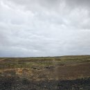 (주)차렌터카 | 아이슬란드 렌트카 업체추천, KONVIN 렌터카 후기 및 아이슬란드 렌트비용