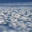 씨하우스 이미지