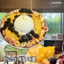 태랑초교 | 공릉동 카페 화랑로커피랩 생망고빙수 내돈내산 찐후기