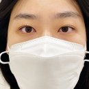 화정초등학교 | 김해 삼계동 속눈썹펌 잘하는 집 시그널브로우 추천