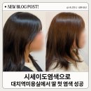 대치1-107 | [공지] 대치역미용실 시세이도염색 고등학생 딸 첫 염색 후기