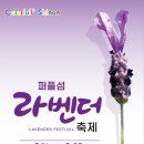 라벤더 이미지