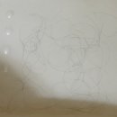 더 (THE)약국 이미지