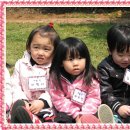 아리랜드 이미지