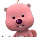 세요 Daum카페